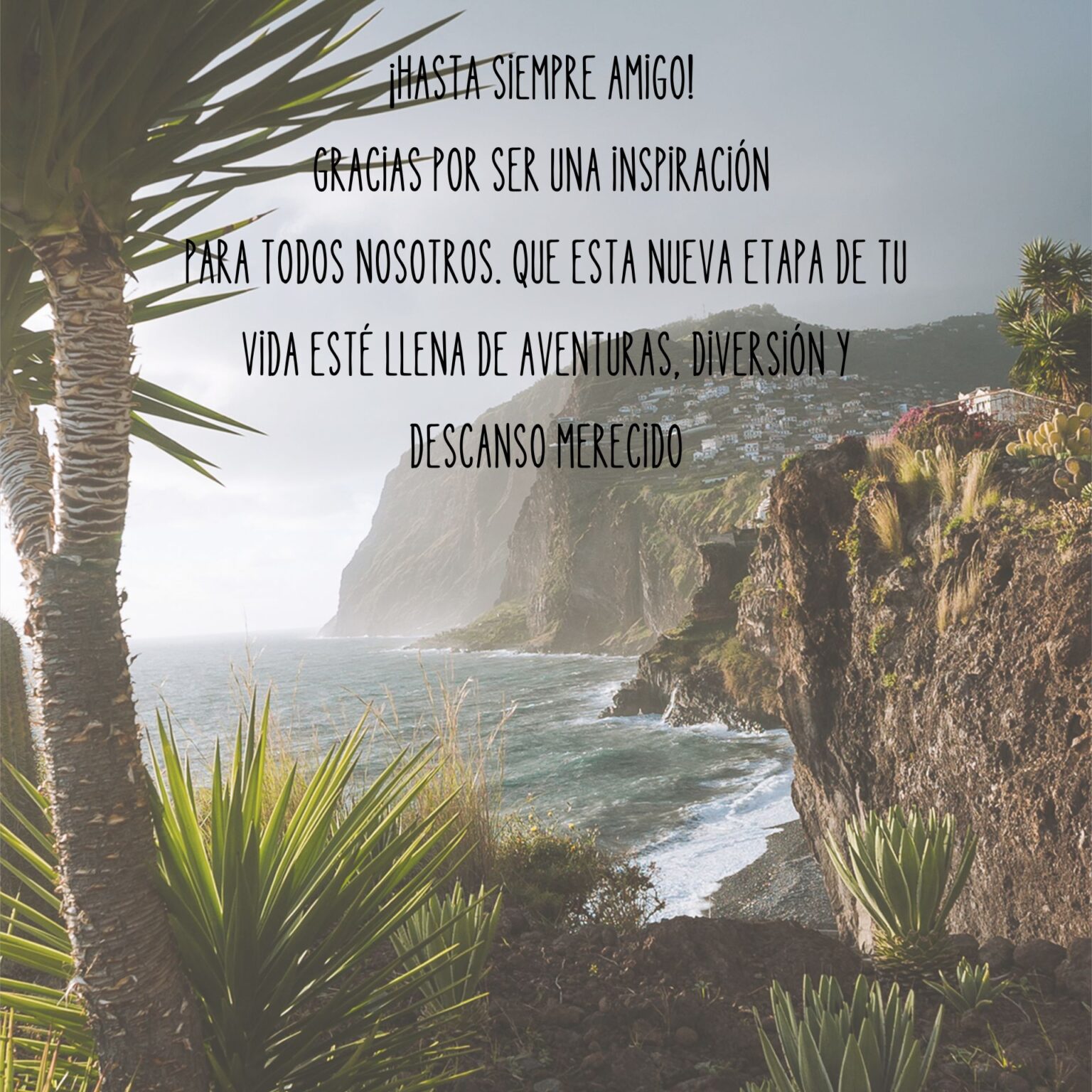 HyDren 7 Piezas De Decoraciones De Fiesta De Despedida We Will Miss You